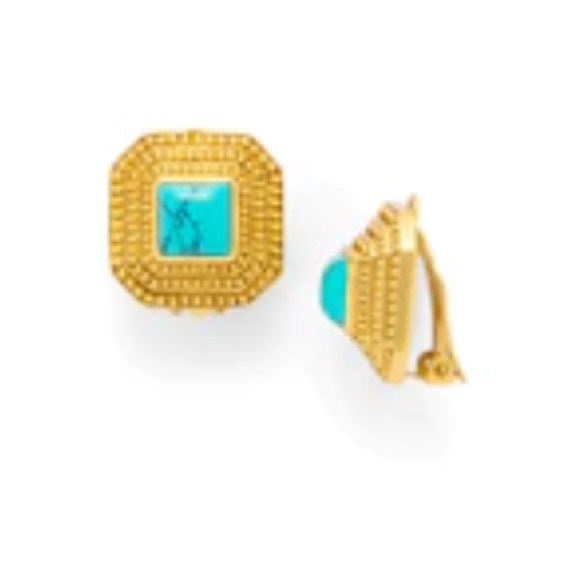 NWT Authentic Luxury Spring RARE Boho Julie Vos Clip...